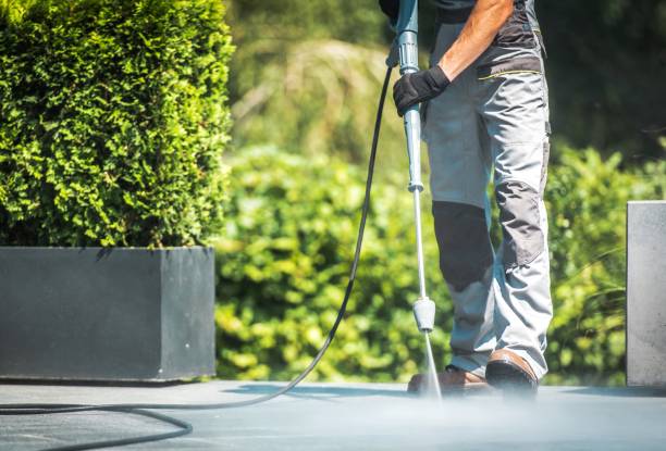 Best Solar Panel Cleaning  in Collegedale, TN