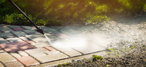 Best Animal Enclosure Cleaning  in Collegedale, TN